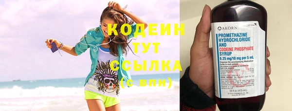 прущие грибы Тавда