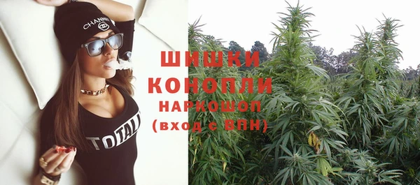 мяу мяу мука Беломорск